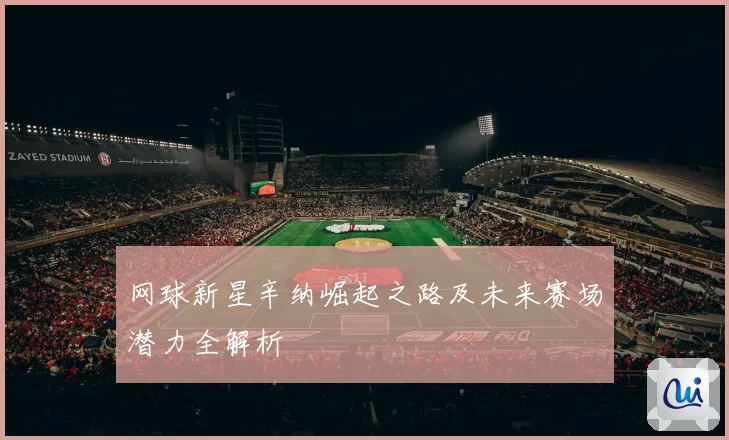 网球新星辛纳崛起之路及未来赛场潜力全解析