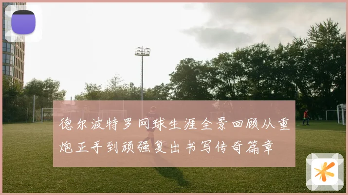 德尔波特罗网球生涯全景回顾从重炮正手到顽强复出书写传奇篇章